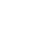zomhomsite.in favicon